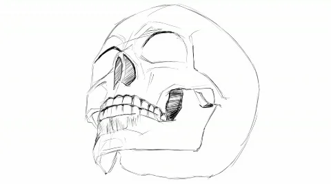 Skull sketch Stock Footage 605997