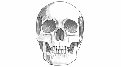 Skull sketch Stock Footage 952277