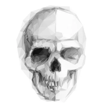 Skull sketch Stock Illustration