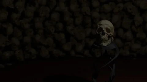 Skull in Skull Room Stock Footage 67406201