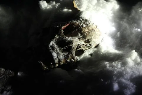 Skull in snow Foto stock