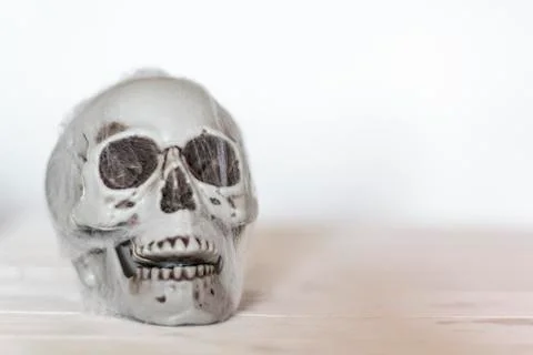 Skull with spider web with copy space Stock Photos