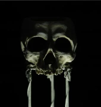 Skull stand 3 Stock Photos