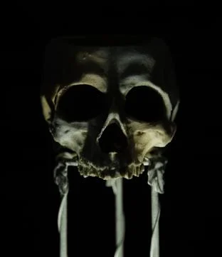 Skull stand 4 Stock Photos