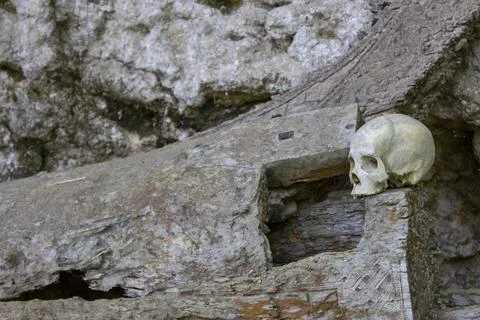 Skull in Toraja Stock Photos