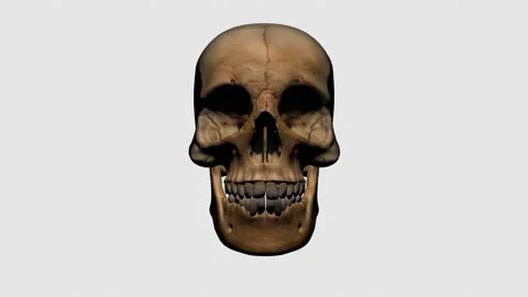 Skull Transitions 4 in 1 動画素材 145968901