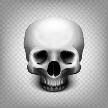 Skull transparent background Stock Illustration