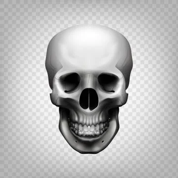 Skull transparent background Stock Illustration