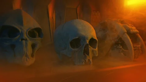 Skull Trophy Room Science Fiction 2 Versions Stock Footage 340413208