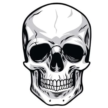 Skull Vector Art Illustrations Stock Illustration