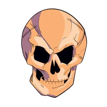 Skull vector drawing isolated on white Illustrazione stock