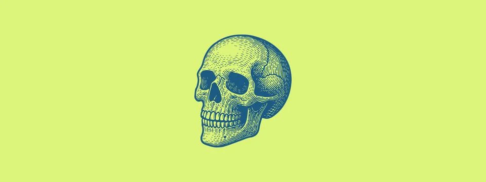 Skull Vector Graphic Print – Gothic Anatomy Illustration Illustrazione stock