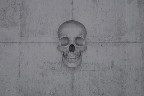 Skull on a wall of concrete Foto stock