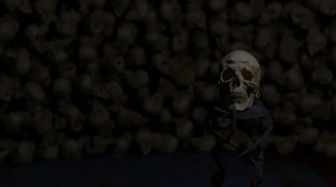 Skull Wall Stock Footage 68084588