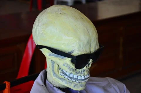 Skull wearing sunglasses Stock Photos