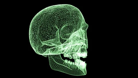 Skull Wireframe on Black BG 스톡 동영상 115841029