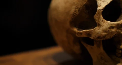 SKULL.02 Video stock 125533927