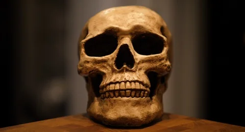 SKULL.03 Video stock 125534618