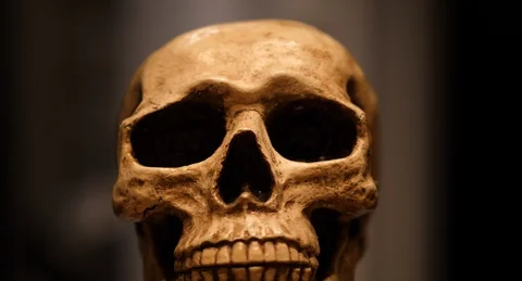 SKULL.04 Video stock 125534423