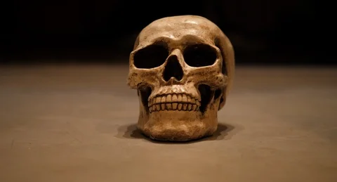 SKULL.06 Video stock 125534639