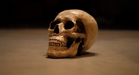 SKULL.07 Video stock 125534610