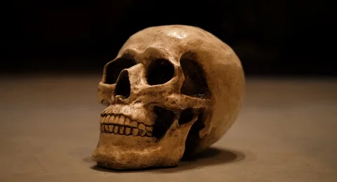 SKULL.08 Video stock 125534784