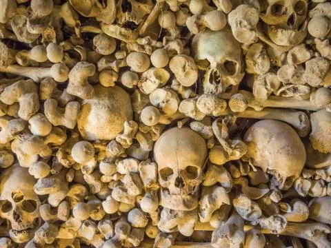 Skullk Stock Photos