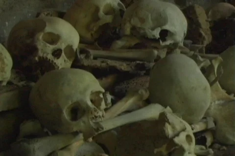 Skulls 8 Stock Footage 111906
