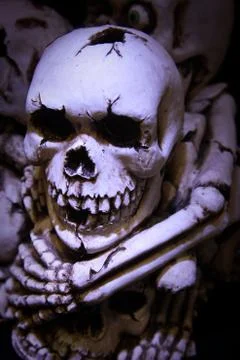 Skulls and bones Stock-Illustration