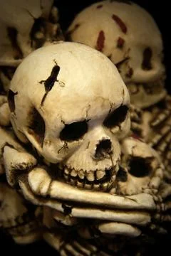Skulls and bones Stock-Illustration
