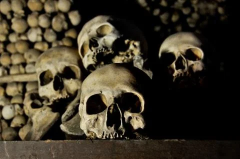 Skulls and Bones Stock-Fotos