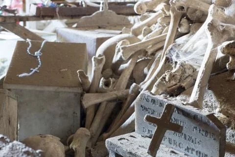 Skulls and bones Stock Photos