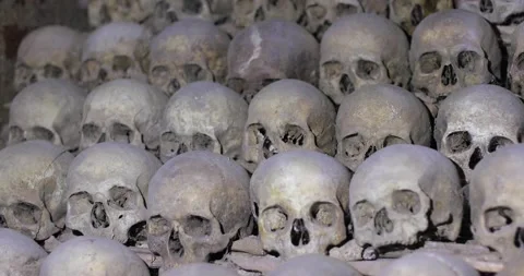 Skulls and bones in rows Stock Footage 139894720