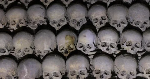 Skulls and bones in rows Stock Footage 140979123