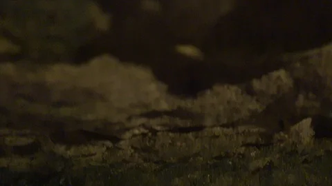 Skulls and bones stacked up in the Paris catacombs. Stock Footage 122250413
