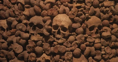 Skulls and bones in a wall Stock Footage 120653316