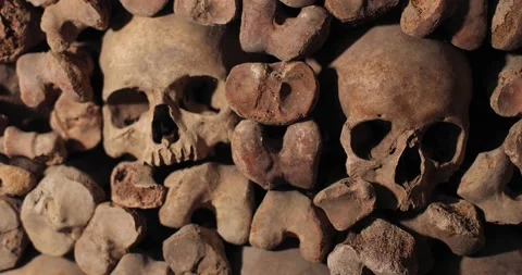 Skulls and bones in a wall Stock Footage 141200469