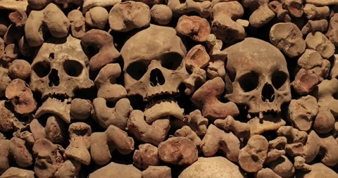 Skulls and bones in a wall Stock Footage 149831887