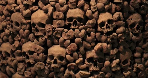 Skulls and bones in a wall Stock Footage 152116158