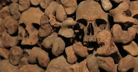 Skulls and bones in a wall, moving shadows Stock Footage 129198379