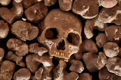 Skulls and bones in a wall Foto stock