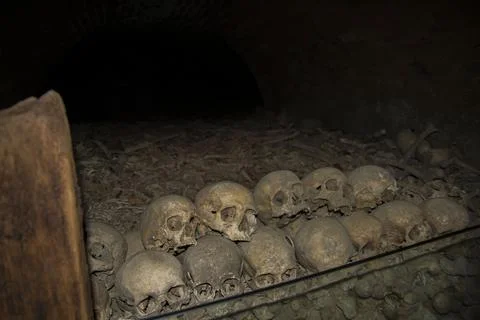 Skulls and many bones. Foto stock