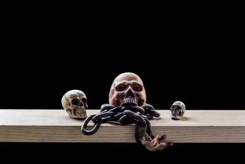 Skulls with a black background. Stock-Fotos