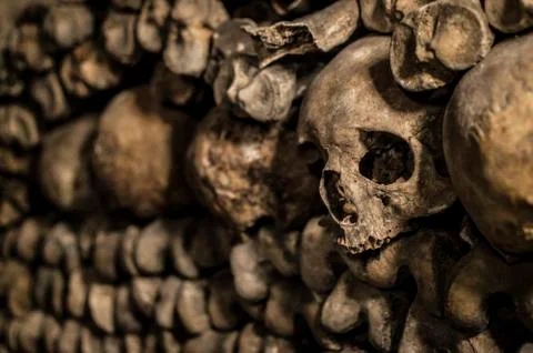 Skulls in the Catacombs 写真素材