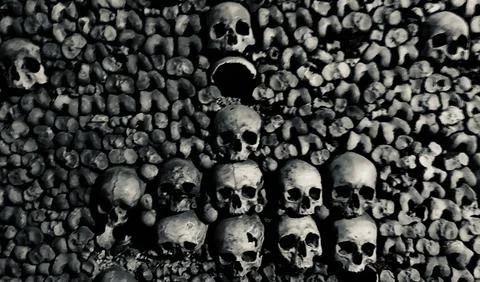 Skulls in the Catacombs 写真素材