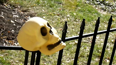 Skulls on Fence Video stock 60238590