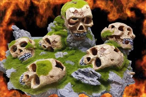 Skulls in front of the wall of fire Stock Photos