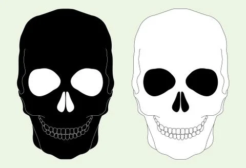 Skulls Stock Illustration