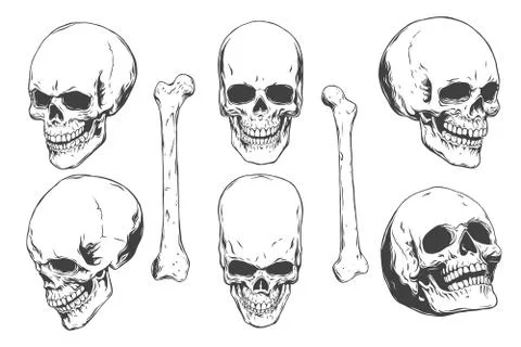 Skulls Stock Illustration
