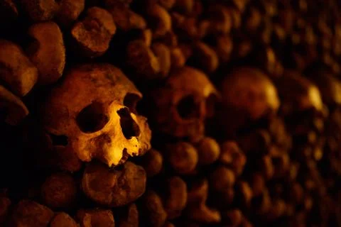 Skulls. Foto stock